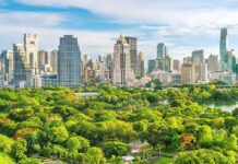 Metso introduces Data-driven Performance Services to support mining industry with equipment reliability and performance