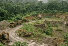 Costa Rica Advances Crucitas Revival Through Mining Proposal Construction site in a tropical forest with a line of excavators and dump trucks on a dirt road.