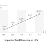 Visual_-Recovery-Can-Change-Project-Value-visual-selection
