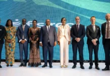Copperbelt Power Interconnector Advances in Africa